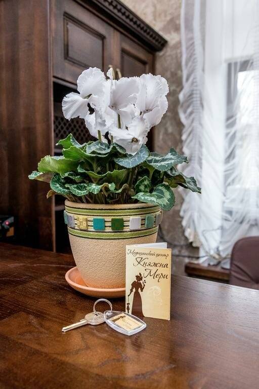 Фото Санатория Княжна Мери Железноводск 10