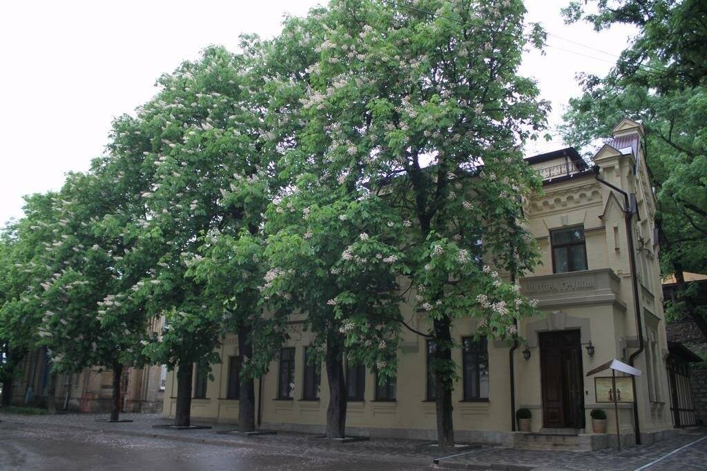 Фото Санатория Княжна Мери Железноводск 35