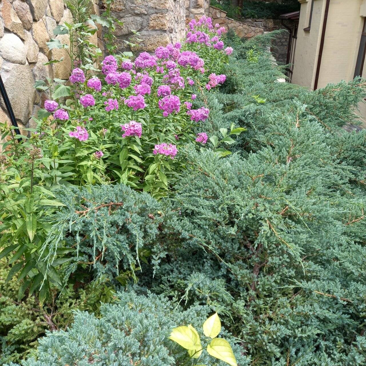 Фото Санатория Княжна Мери Железноводск 155