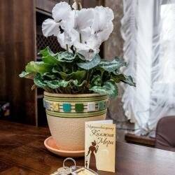 Фото Санатория Княжна Мери Железноводск 85